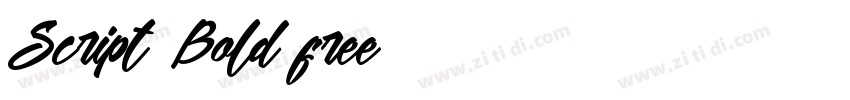 Script Bold free字体转换